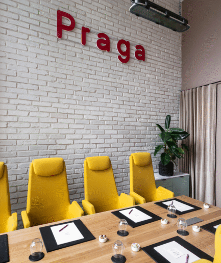 Stara Cegła - płytka ceglana dekoracyjna - kolor biel skalna